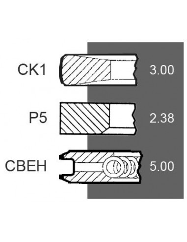 Juego de 3 Segmentos para Pistón de 102mm Ø