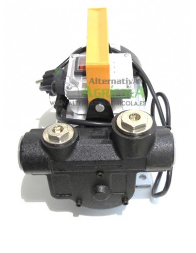 Bomba trasvase gasoil eléctrica 220v 60 litros/minuto con accesorios