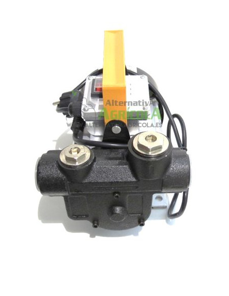 Bomba trasvase gasoil eléctrica 220v 60 litros/minuto con accesorios