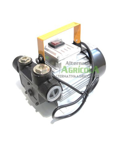 Bomba trasvase gasoil eléctrica 220v 60 litros/minuto con accesorios