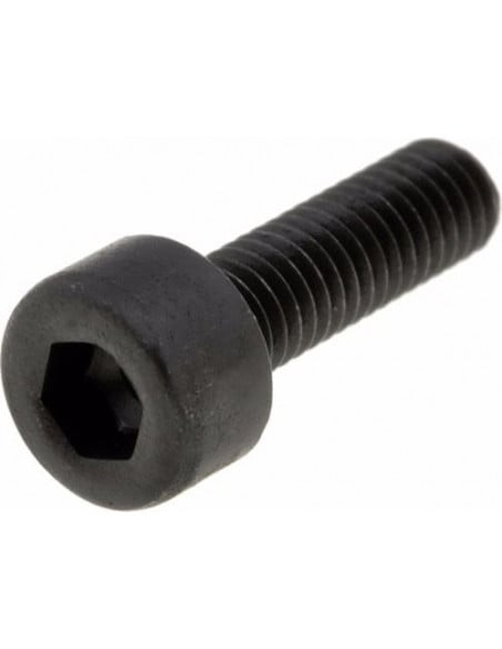 Tornillo de Hallen M20x2,5 Longitud 50mm