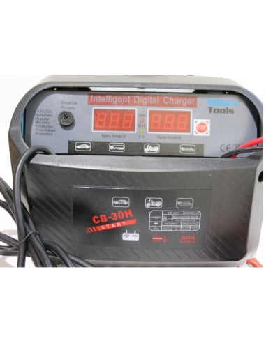 Cargador de batería inteligente automático 12/24 30 amperios carga rápida