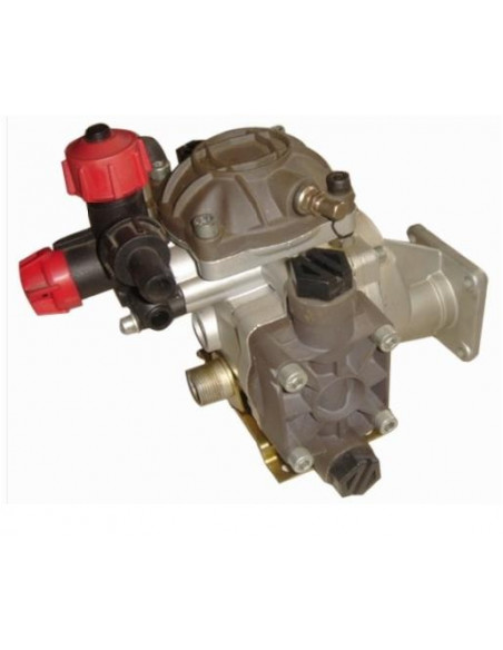 Bomba 2 membranas y comando 20L