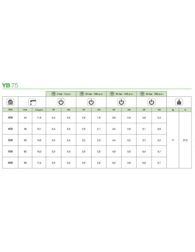 Bomba fumigación 3 pistones deslizantes de alta presión Comet YB75
