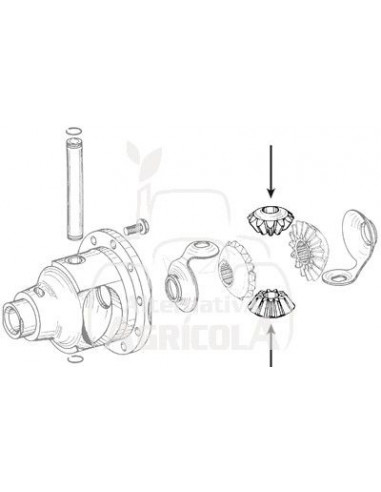 PIÑÓN / ENGRANAJE DIFERENCIAL Z 11