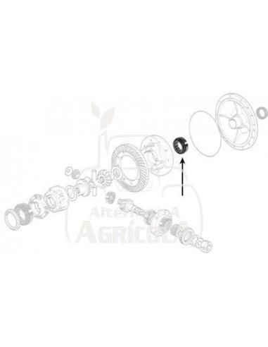 RODAMIENTO Ø 67 x 113 x 30mm