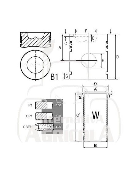 RETÉN CIGÜEÑAL DELANTERO Ø 43/45 X 63.5 X 14.4 MM