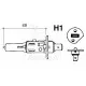 LÁMPARA HALÓGENA 12 V - 55 W - P14.5S - H1
