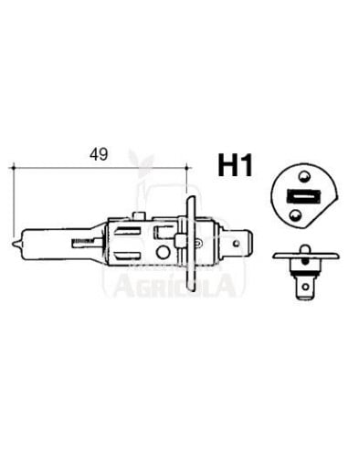 LÁMPARA HALÓGENA 12 V - 55 W - P14.5S - H1