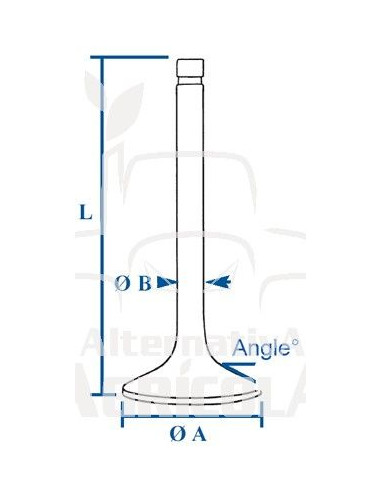 VÁLVULA DE ESCAPE Ø 43.5 X 9.5 MM - L 156 MM - 45°