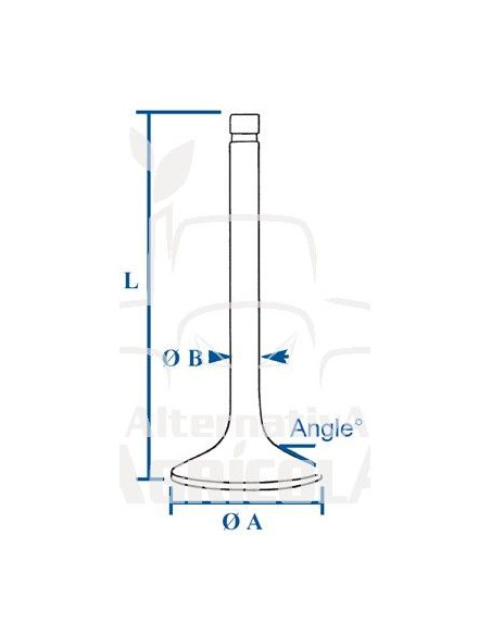 VÁLVULA DE ESCAPE Ø 43.5 X 9.5 MM - L 156 MM - 45°