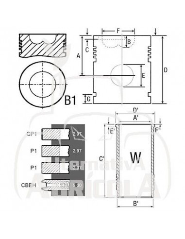Juego camisa, pistón y segmentos Ø 100 mm Zetor 67110099