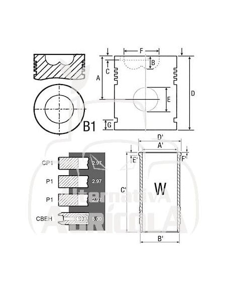 Juego camisa, pistón y segmentos Ø 100 mm Zetor 67110099