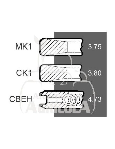 Juego de segmentos estándar Ø 108 mm John Deere AR51741