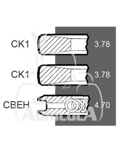 Juego de segmentos estándar Ø 116 mm John Deere RE48380