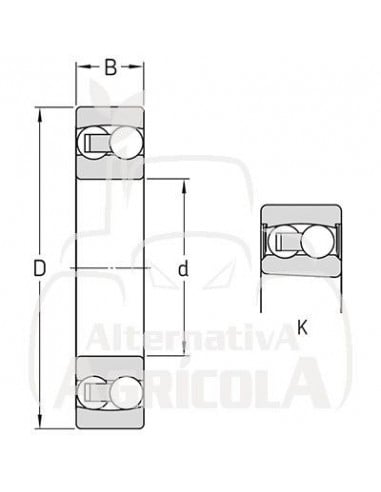 CORREA ACANALADA 8 PK X 1510