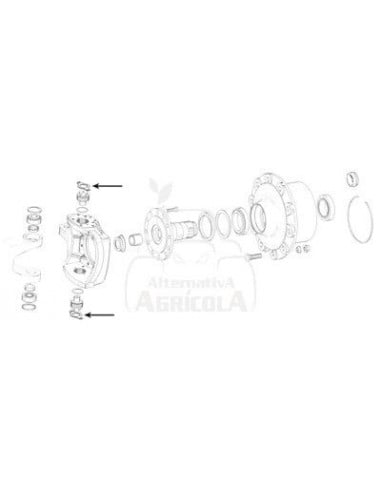 Placa de cierre pivote de giro transmisión Case-IH 81927582