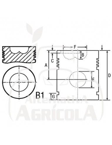 Pistón con segmentos para tractor Fiat  ( varios modelos) 8298251
