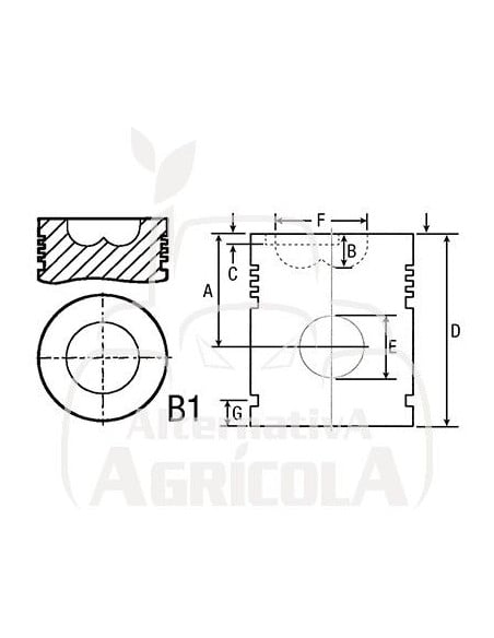 Pistón con segmentos para tractor Fiat  ( varios modelos) 8298251