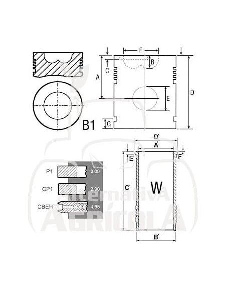 Retén de cuerda del cigüeñal tapa trasera - Par Ford, New Holland