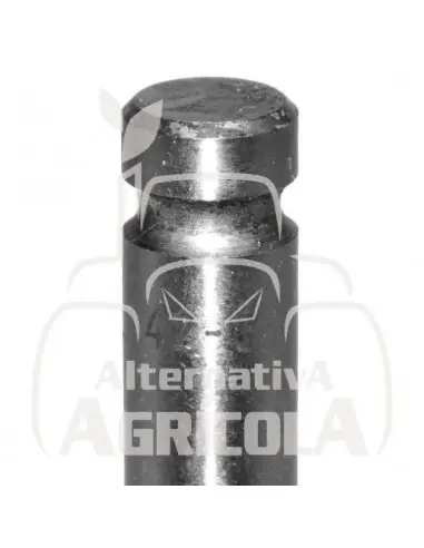 VÁLVULA DE ADMISIÓN