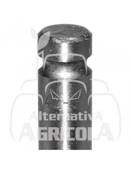 VÁLVULA DE ADMISIÓN