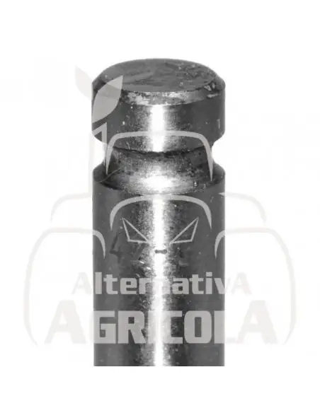 VÁLVULA DE ADMISIÓN