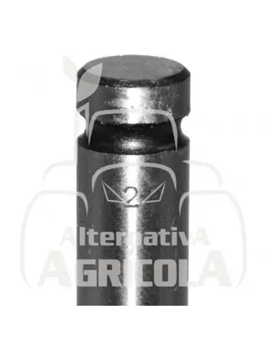 VÁLVULA DE ADMISIÓN