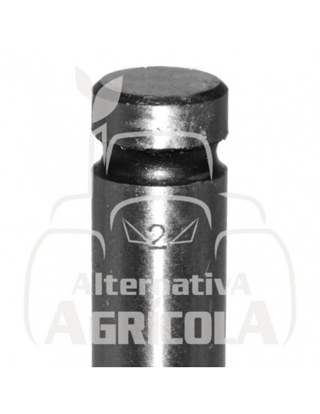 VÁLVULA DE ADMISIÓN