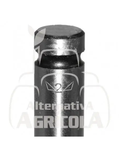 VÁLVULA DE ADMISIÓN