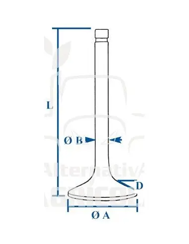 VÁLVULA DE ADMISIÓN