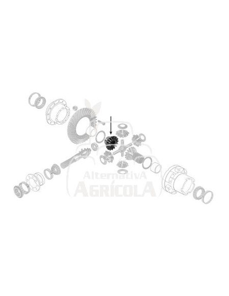 PIÑÓN / ENGRANAJE PLANETARIO