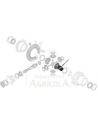 Piñón engranaje planetario Ford 81803451