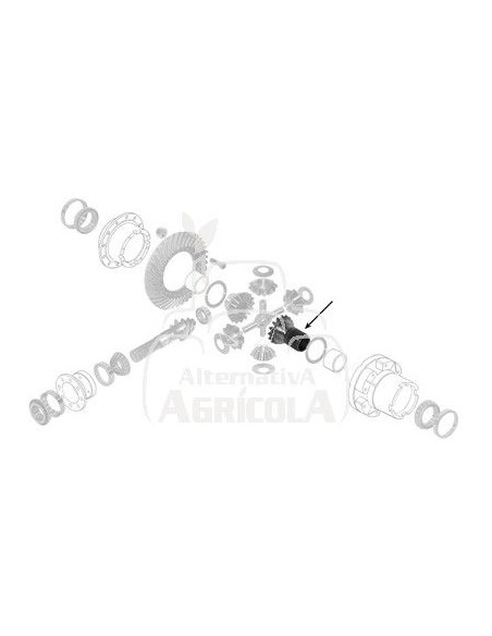 Piñón engranaje planetario Ford 81803451