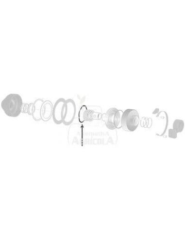 Muelle de discos 6,00 mm 81833907GV