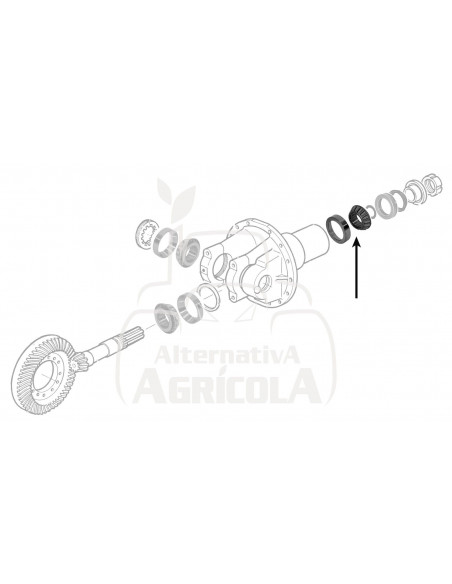 RODAMIENTO Ø 1''3/16 X 2''17/32