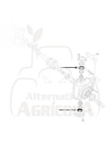 RODAMIENTO Ø 25 x 52 x 19,25 mm