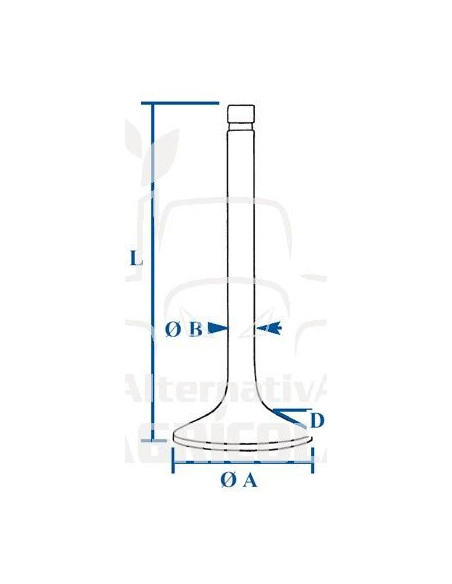 Válvula de admisión Ø 45 x 8 x 129.20 mm Case, Mc Cormick, CM3802355