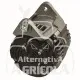 ALTERNADOR 12/14V 175Ah
