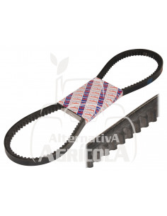 Correa en V 10 x 1080 mm LA 5140010