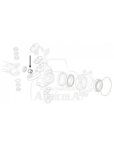 CASQUILLO Ø 45 X 50 X 35 MM