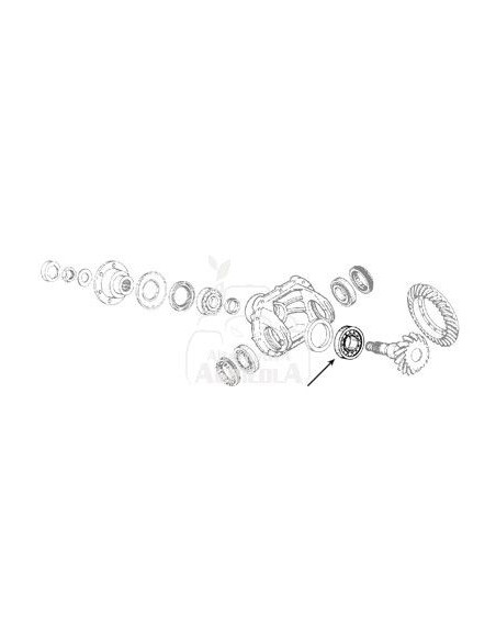 RODAMIENTO Ø 36,51 x 76,20 x 29,37 mm