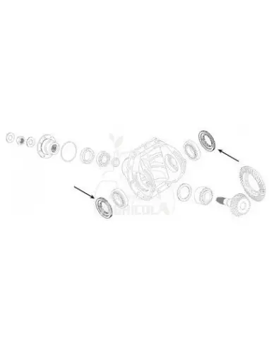 TUERCA DE AJUSTE M94 x 2.00