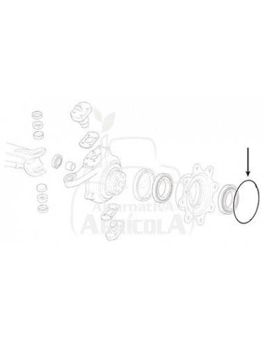 JUNTA TÓRICA 145,72 x 2,62 mm