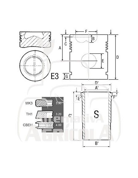 CAMISA, PISTÓN Y SEGMENTOS