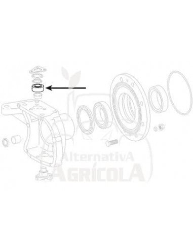 ARANDELA BELEVILLE Ø 36 x 71 x 2,5 mm