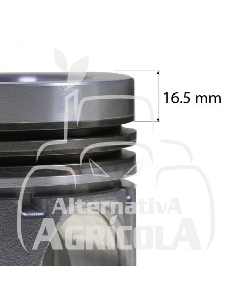 CAMISA, PISTÓN Y SEGMENTOS