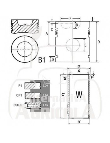RETÉN DELANTERO DE CIGUEÑAL