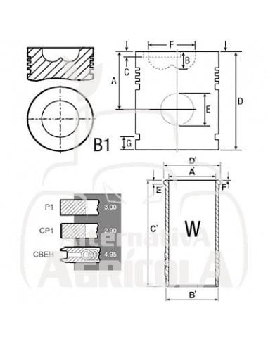 RETÉN TRASERO DE CIGUEÑAL