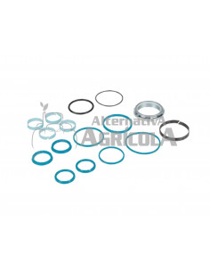 Kit sellos cilindro de dirección 4 rm AL119378